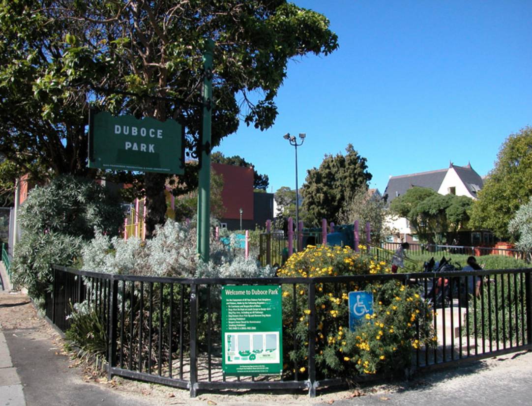 243 Waller Street, rental in Duboce Triangle, San Francisco