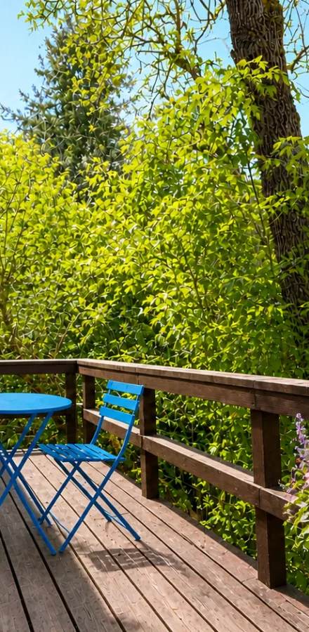 1 Castro Street, rental in San Geronimo Valley, Forest Knolls