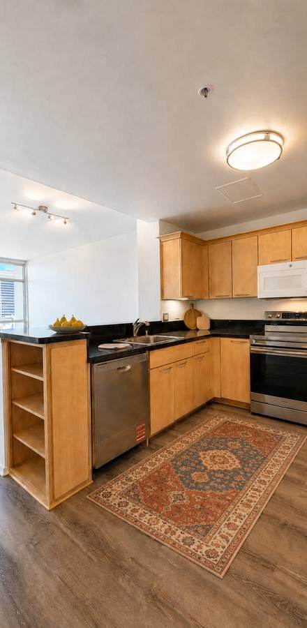 1 Lakeside Drive #1609, rental in Lake Merritt, Oakland