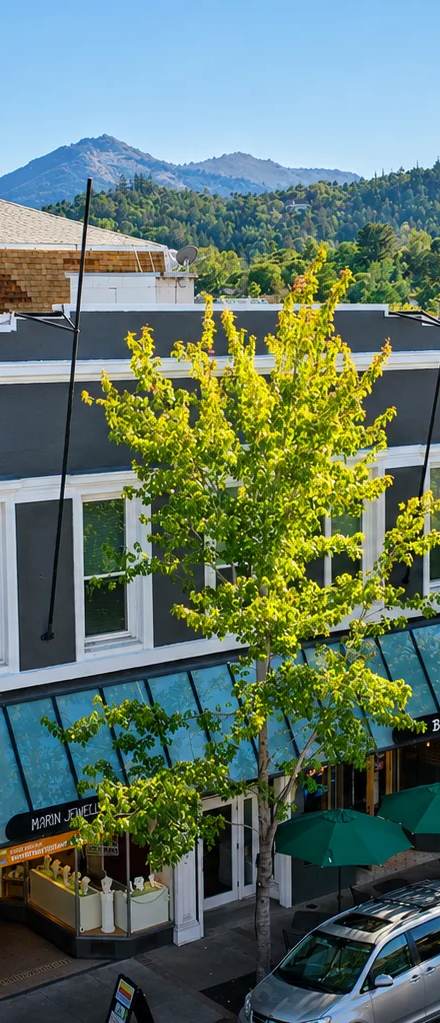 1330 4th St.#15, rental in Downtown San Rafael, San Rafael