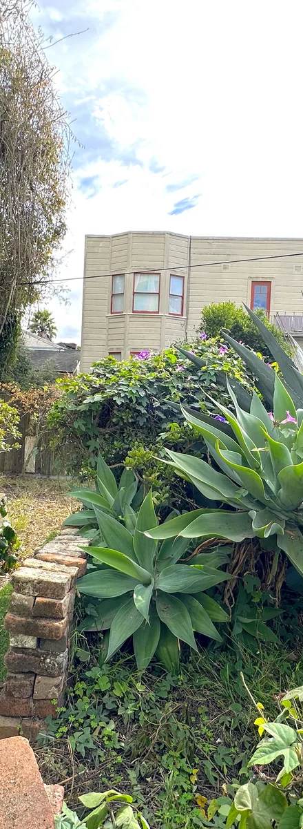 1765 McAllister, rental in NOPA, San Francisco