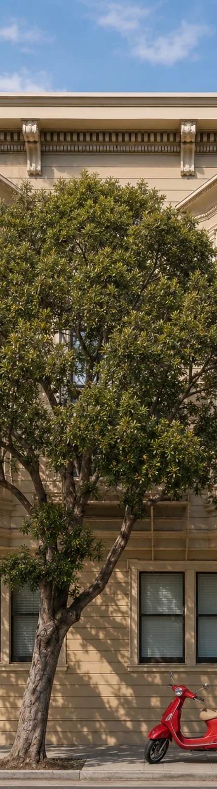 3064 Sacramento St. #2, rental in Pacific Heights, San Francisco