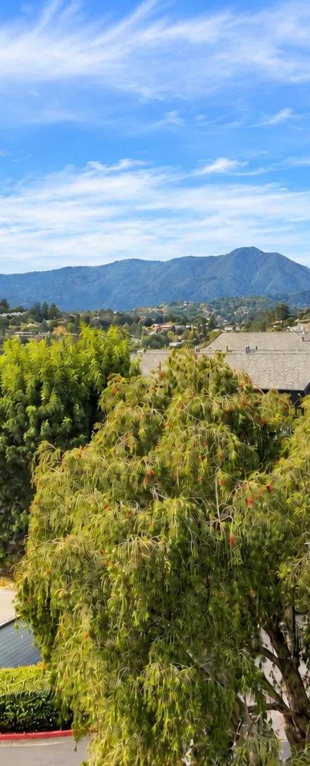 14 Janet Way, rental in Belvedere Tiburon