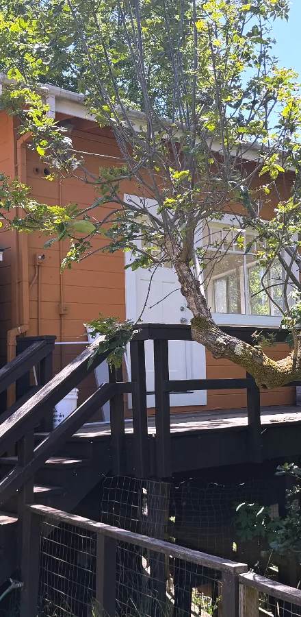1 Castro Street, rental in San Geronimo Valley, Forest Knolls