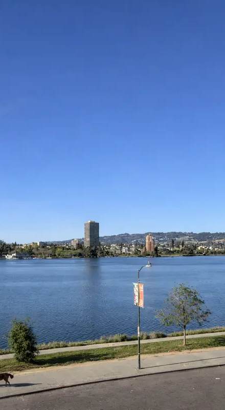 1434 Lakeshore Ave.#7, rental in Grand Lake, Oakland