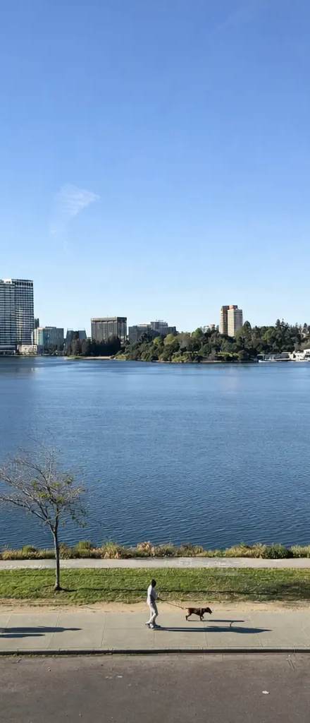 1434 Lakeshore Ave.#7, rental in Grand Lake, Oakland